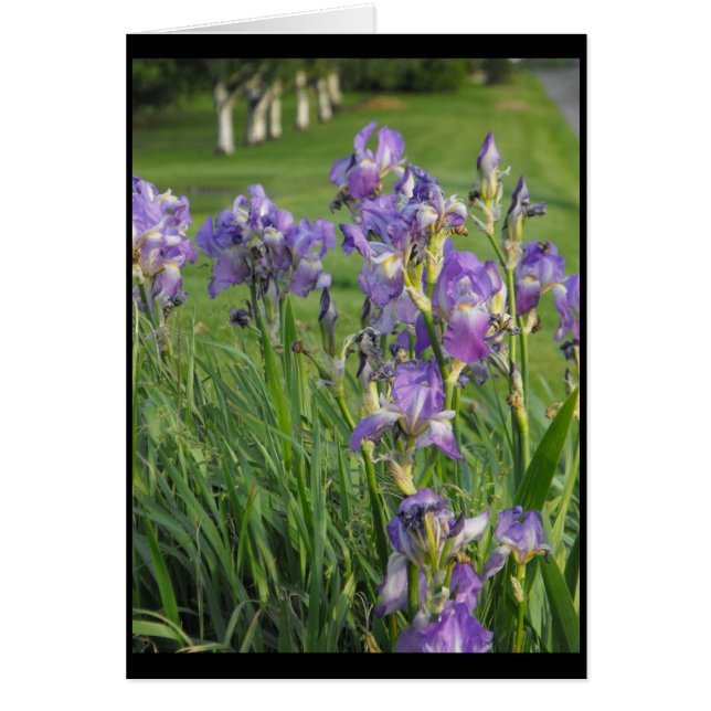 従って春の~ 21の用意して下さい (正面)