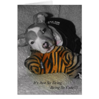 従って疲れとてもかわいいですがあります!