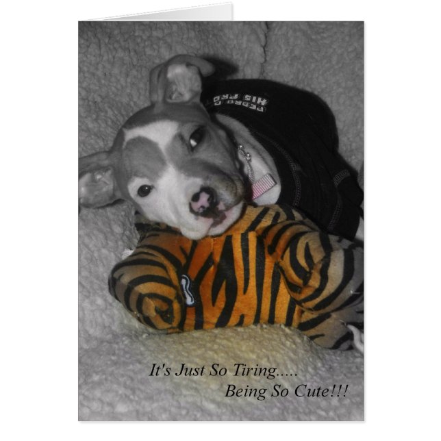 従って疲れとてもかわいいですがあります! (正面)