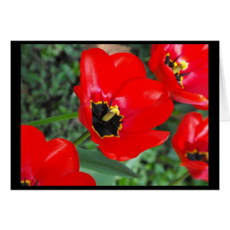 従ってSpring~1の用意して下さい