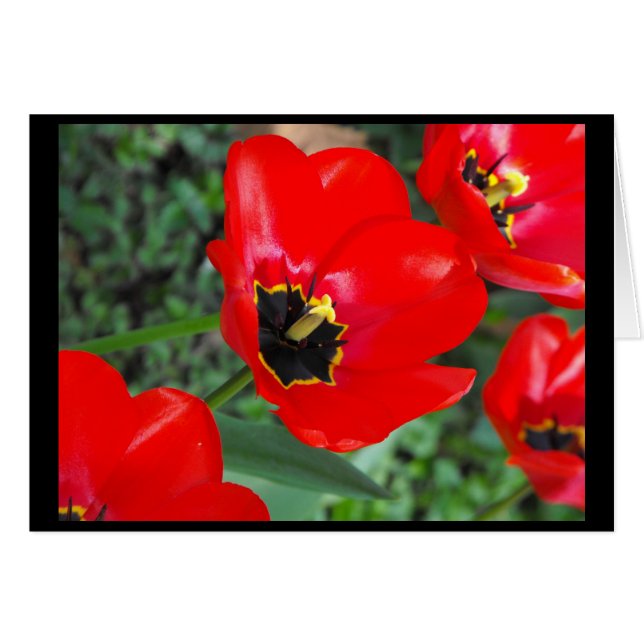 従ってSpring~1の用意して下さい (正面横)