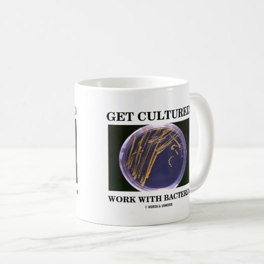 得て下さい細菌(寒天培地)を培養された使用を コーヒーマグカップ (正面右)