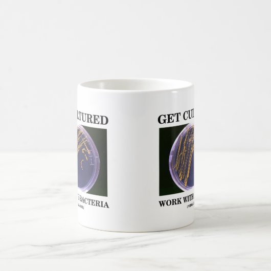 得て下さい細菌(寒天培地)を培養された使用を コーヒーマグカップ (中央)