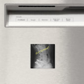 得ねじ マグネット (インサイチュ (食洗機))