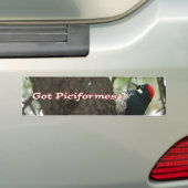 得られたキツツキか。 バンパーステッカー (車上)