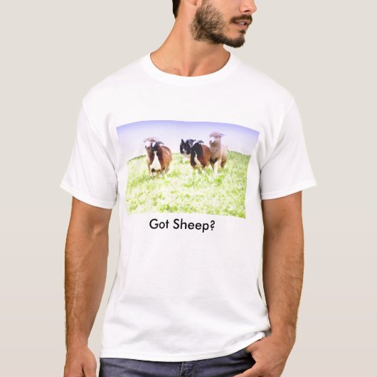 得られたヒツジか。 ボーダーコリーのTシャツ Tシャツ (正面)