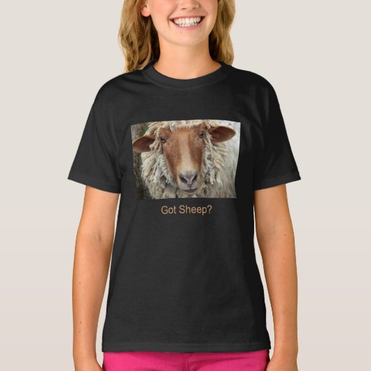 得られたヒツジか。 Tシャツ (正面)