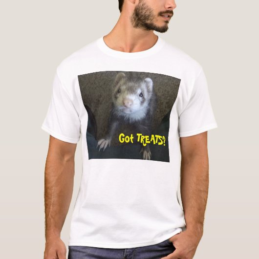 得られた御馳走か。 Tシャツ (正面)