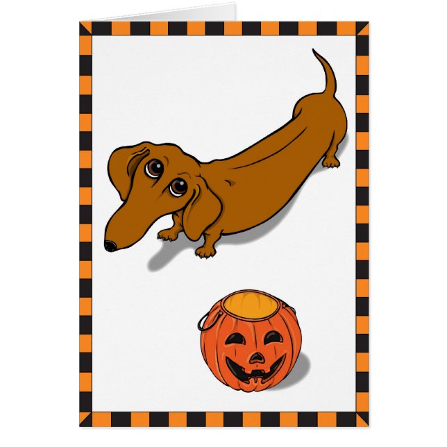 得られた御馳走ダックスフント (正面)