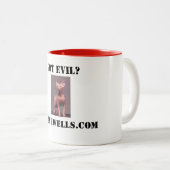 得られた悪か。 マグ (正面右)