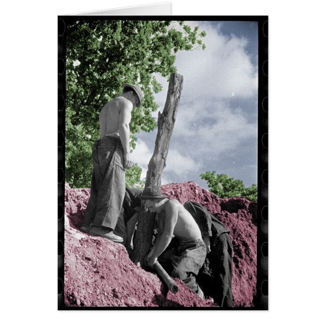 得られた木か。 [ヴィンテージのおもしろカード] (正面)