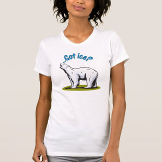 得られた氷か。 Tシャツ