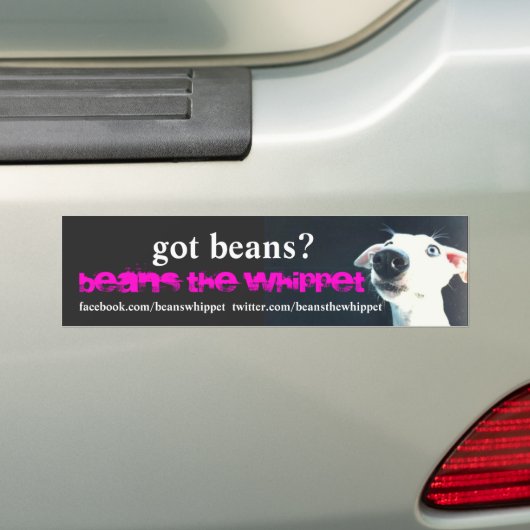 得られた豆か。 ステッカー (車上)