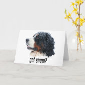 得られた雪か。 バーニーズ・マウンテン・ドッグ カード (黄色い花)