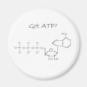 得られたATPか。 マグネット