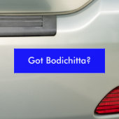 得られたBodichittaか。 バンパーステッカー (車上)