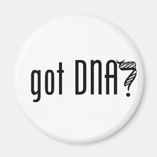 得られたDNAか。 マグネット