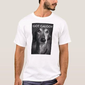 得られたGALGOか。 Tシャツ