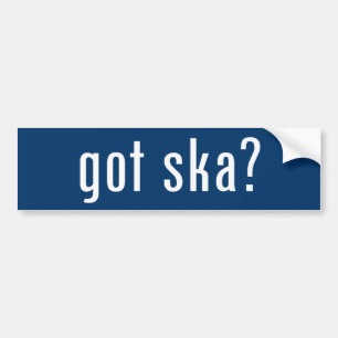 得られたskaか。 バンパーステッカー