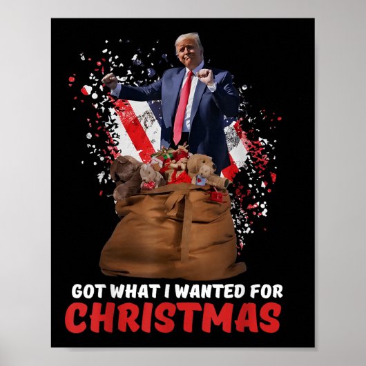 得クリスマスに欲しかった物 – Trump Won 2024 ポスター (正面)