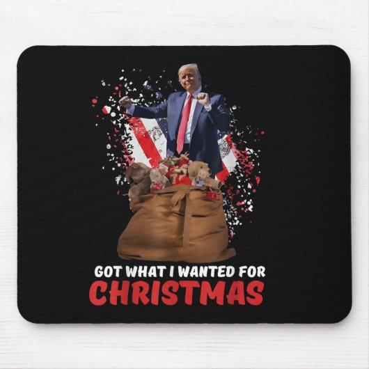 得クリスマスに欲しかった物 – Trump Won 2024 マウスパッド (正面)