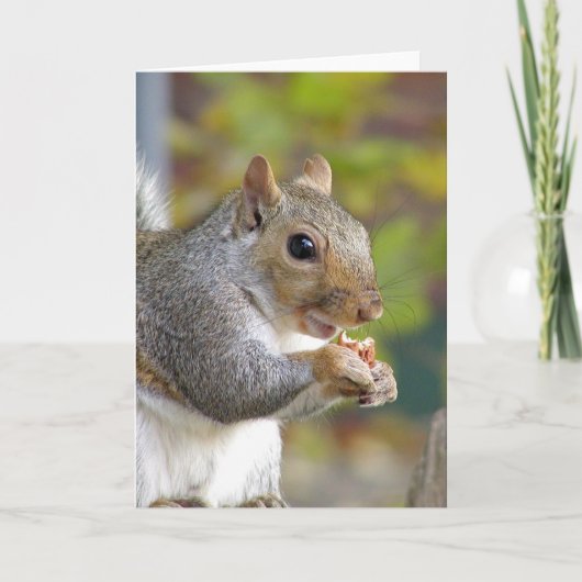 得ナッツ?カード カード (正面)