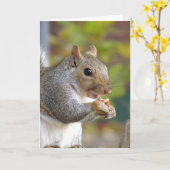 得ナッツ?カード カード (黄色い花)