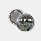 得ネズミ?ホグノーズ磁石 マグネット (正面/裏面)