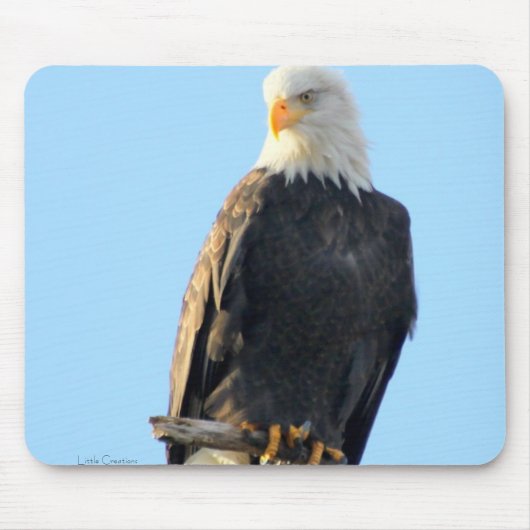 得意気にとまられる マウスパッド (正面)