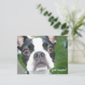 得物 ポストカード (スタンド正面)