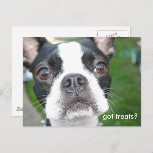 得物 ポストカード (正面/裏面)