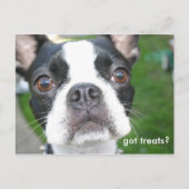 得物 ポストカード (正面)