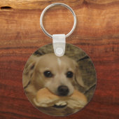 得犬？ キーホルダー (正面)