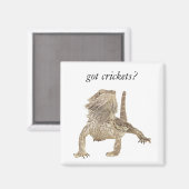 得虫 マグネット (正面/裏面)