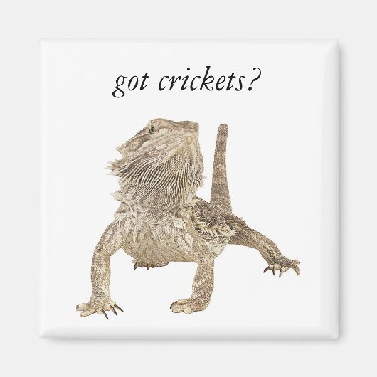 得虫 マグネット (正面)