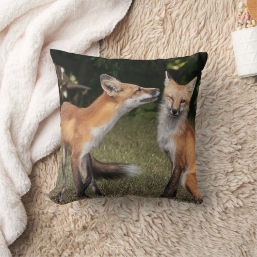 得造幣局? クッション (ブランケット)