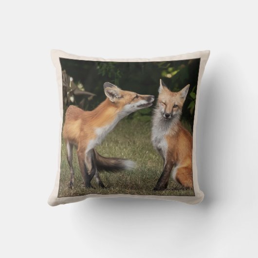 得造幣局？ クッション (裏面)