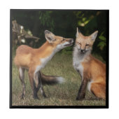 得造幣局? タイル (正面)