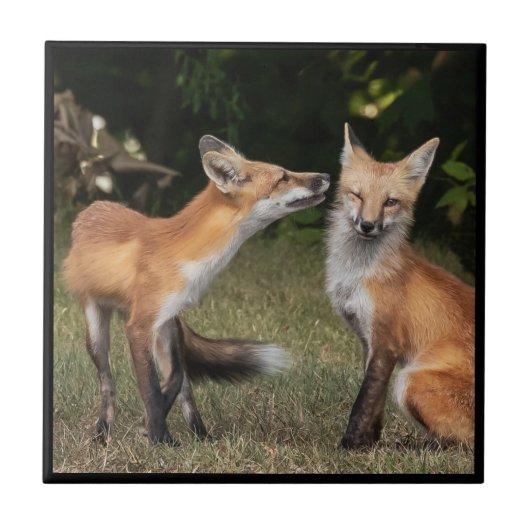 得造幣局？ タイル (正面)