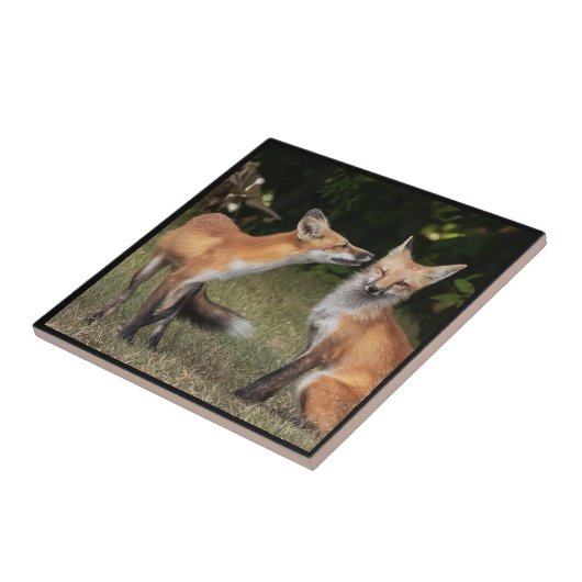 得造幣局? タイル (側面)