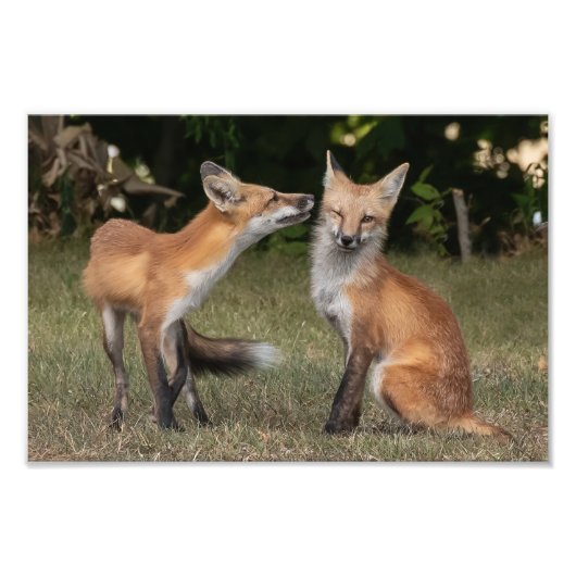 得造幣局？ フォトプリント            (正面)