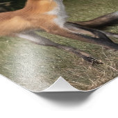 得造幣局？ フォトプリント            (角)