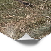 得造幣局？ ポスター (コーナー)