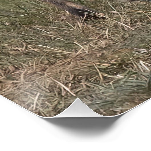 得造幣局？ ポスター (コーナー)