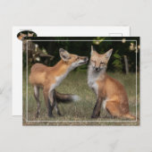 得造幣局？ ポストカード (正面/裏面)