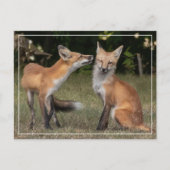 得造幣局？ ポストカード (正面)