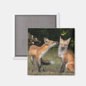 得造幣局？ マグネット (正面/裏面)