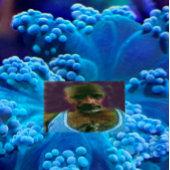 御使いたちがあなたを捕まえる キャンバスプリント