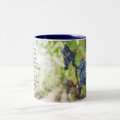 御霊ガラテヤの果実5:22-23 ツートーンマグカップ (中央)