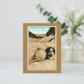 復元されたヴィンテージ入浴美しい、砂丘 ポストカード (スタンド正面)